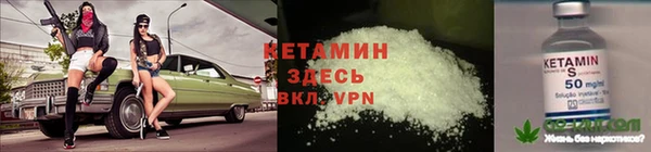 ПСИЛОЦИБИНОВЫЕ ГРИБЫ Арсеньев