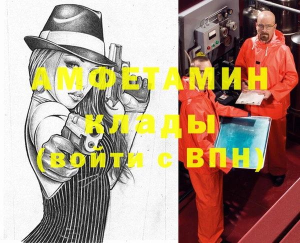 ПСИЛОЦИБИНОВЫЕ ГРИБЫ Арсеньев