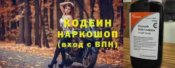 ПСИЛОЦИБИНОВЫЕ ГРИБЫ Арсеньев