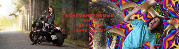 винт Балахна