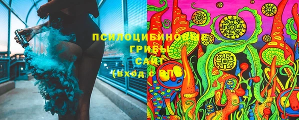 винт Армянск