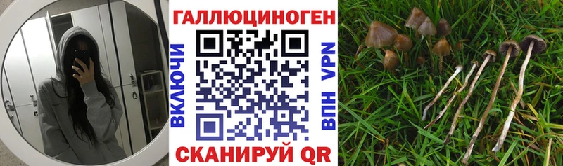кракен ССЫЛКА Касли Псилоцибиновые грибы MAGIC MUSHROOMS
